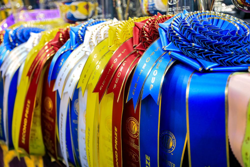 Question of the Week